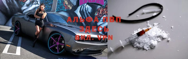 прущие крисы Аркадак