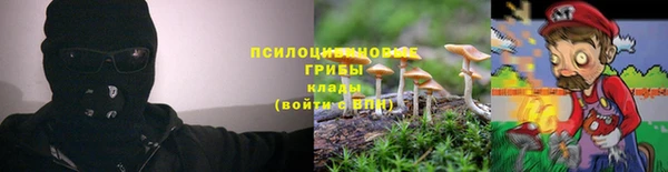 ешки Алексеевка