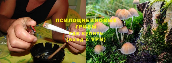 тгк Алексин